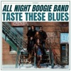 All Night Boogie Band - Shake Your Money Maker