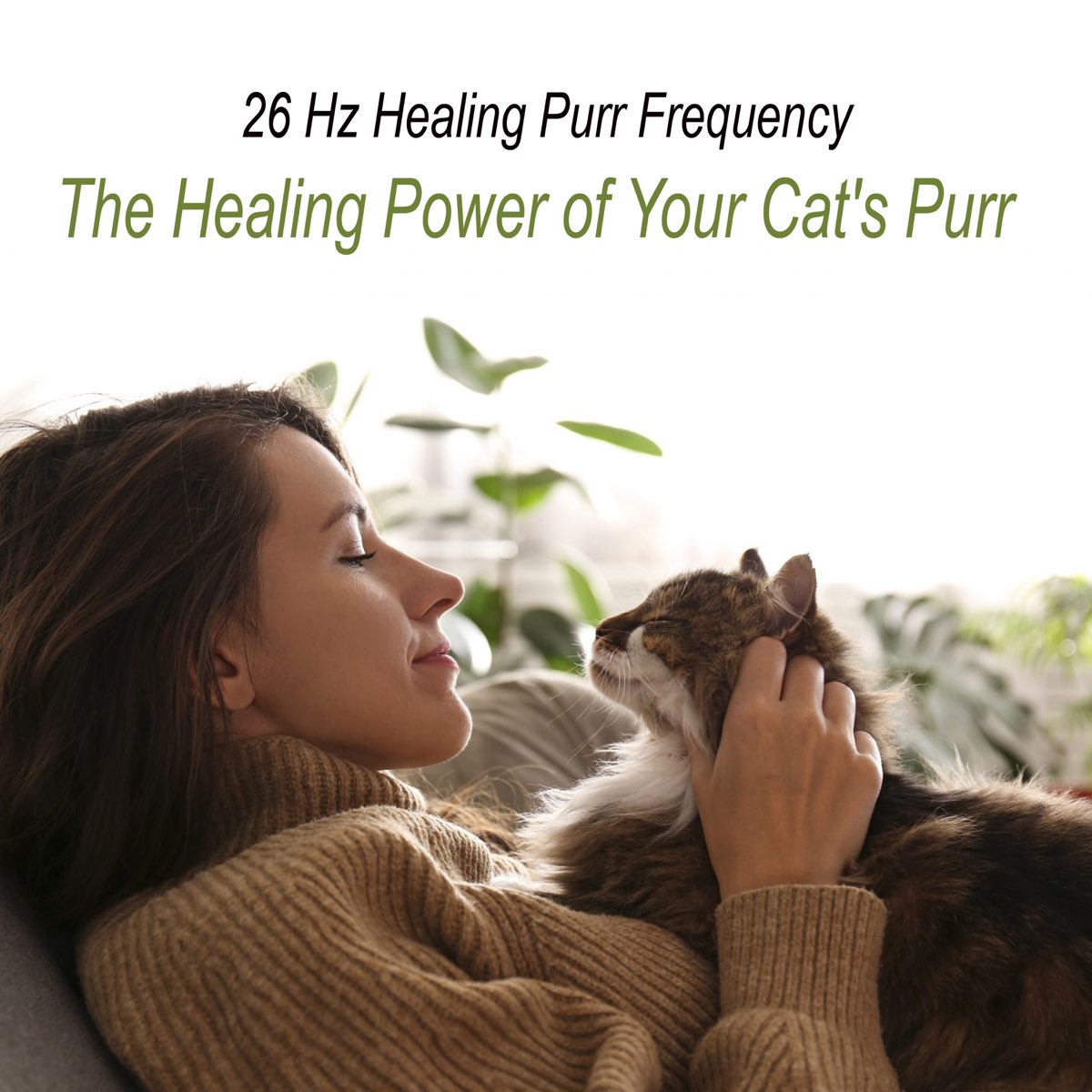 the healing power of a cats purr