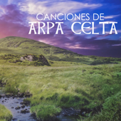 Canciones de Arpa Celta - Música Relajante Tradicional Irlandesa, Flauta, Guitarra y Violín Instrumental - Musica Celta All Stars
