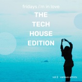 In My House (Techouse Mix) artwork