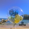 Leve a Vida Leve - Single