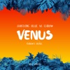 venus (feat. Shocking blue) - Single