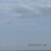 bird and air - Ocean in Your Head
