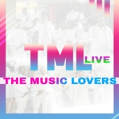 Love Medley (Live) artwork