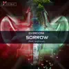 Sorrow (feat. Shadow) - Single album lyrics, reviews, download