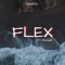 Flex (feat. Hareesh) - Kaarya lyrics
