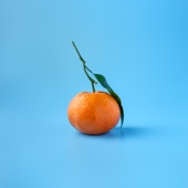 Oranges artwork