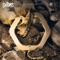 Born Ready (feat. Armanni Reign) - Shanks lyrics