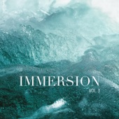 Immersion, Vol. 3 artwork