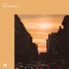 FJ9 - Metamorphosis