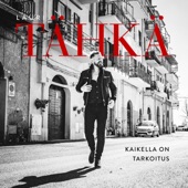 Kaikella on tarkoitus artwork