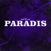 Paradis artwork