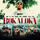 Bokaloka (feat. MC Tuto, MC V7, MC Erik, Mc Pê Leal, MC Vine7 & Mc Don Juan) artwork