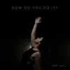 How Do You Do It? - Single album lyrics, reviews, download