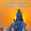 Om Namah Shivay - Single album lyrics, reviews, download