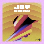 Joy Wonder artwork