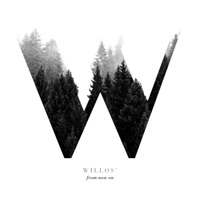 From Now On by Willos' & Massimo Giuntini on Apple Music