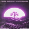 Eternal Sunshine of the Spotless Mind - Single