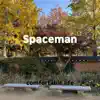 Spaceman song lyrics
