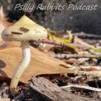 Psilly Rabbits Podcast podcast