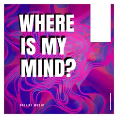 Where Is My Mind? - Single by BIGLIFE MUSIC album reviews, ratings, credits