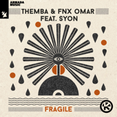 Fragile (feat. Syon) [Extended Mix] - Themba & FNX OMAR