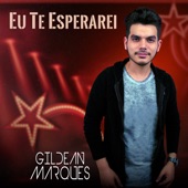 Eu Te Esperarei artwork