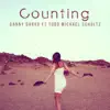 Counting (feat. Todd Michael Schultz) - Single album lyrics, reviews, download