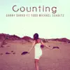 Stream & download Counting (feat. Todd Michael Schultz) - Single