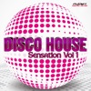 Disco House Sensation, Vol. 1, 2012