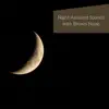 Night Ambient Sounds with Brown Noise, Loopable album lyrics, reviews, download