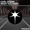 What You Need - Single