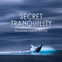 Calm Sea Ambient - Secret Tranquility: Relaxing Ocean Waves, Seagulls, Whale and Ambient Music for Well-Being with Nature Sounds artwork