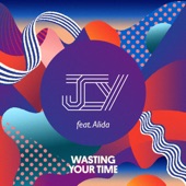 Wasting Your Time (feat. Alida) artwork