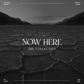 Now Here (The Collection) - EP artwork