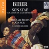 Biber: Sonatae, tan aris, quam aulis servientes