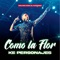 Como la Flor (Cover) artwork