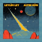 Leylim Ley artwork