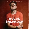 Dulce Salvador - Single