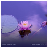 Deep Sleep Flute artwork