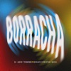Borracha (En Vivo) - Single