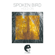 Hold On - Spoken Bird