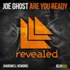 Are You Ready (Hardwell Rework) - Single album lyrics, reviews, download
