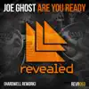 Stream & download Are You Ready (Hardwell Rework) - Single