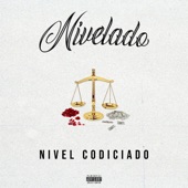 Nivelado artwork