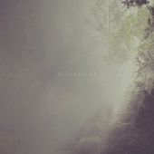 Wilderness (Noise) artwork