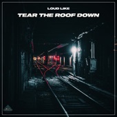 Tear the Roof Down artwork