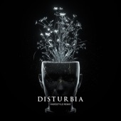 Disturbia (Hardstyle Remix) [feat. Stella Key] artwork