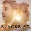 Blackbird - Single album lyrics, reviews, download