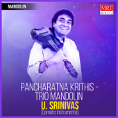 Pancharatna Krithis (Trio Mandolin) - U. Srinivas